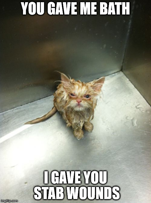 Kill You Cat | YOU GAVE ME BATH; I GAVE YOU STAB WOUNDS | image tagged in memes,kill you cat | made w/ Imgflip meme maker