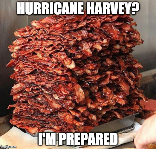 I'm right in the path of the Hurricane. I will submit 3 a day until I lose power. So long and thanks for all the fish! | HURRICANE HARVEY? I'M PREPARED | image tagged in bacon,hurricane,iwanttobebacon,iwanttobebaconcom,hurricane harvey | made w/ Imgflip meme maker