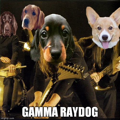 Dedicated to one of my favourite memers and one of my favourite bands ever! | GAMMA RAYDOG | image tagged in raydog,heavy metal,power metal,dogs,animals,memes | made w/ Imgflip meme maker