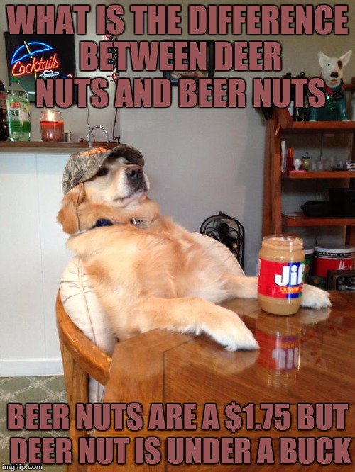 Redneck Dog  | WHAT IS THE DIFFERENCE BETWEEN DEER NUTS AND BEER NUTS; BEER NUTS ARE A $1.75 BUT DEER NUT IS UNDER A BUCK | image tagged in redneck dog,memes,funny,nuts | made w/ Imgflip meme maker