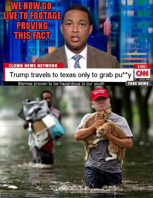 Well.. they got it kinda right... | WE NOW GO LIVE TO FOOTAGE PROVING THIS FACT | image tagged in cnn fake news,cnn spins trump news,hurricane harvey,donald trump,cats,save me | made w/ Imgflip meme maker