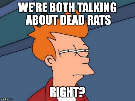 Futurama Fry Meme | WE'RE BOTH TALKING ABOUT DEAD RATS RIGHT? | image tagged in memes,futurama fry | made w/ Imgflip meme maker
