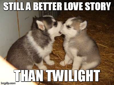 Cute Puppies | STILL A BETTER LOVE STORY; THAN TWILIGHT | image tagged in memes,cute puppies,still a better love story than twilight | made w/ Imgflip meme maker