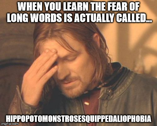 Hippopotomonstrosesquippedaliophobia is a real word! | WHEN YOU LEARN THE FEAR OF LONG WORDS IS ACTUALLY CALLED... HIPPOPOTOMONSTROSESQUIPPEDALIOPHOBIA | image tagged in memes,frustrated boromir,words,phobia,the truth | made w/ Imgflip meme maker