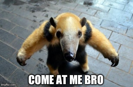 COME AT ME BRO | image tagged in come at me anteater,funny | made w/ Imgflip meme maker