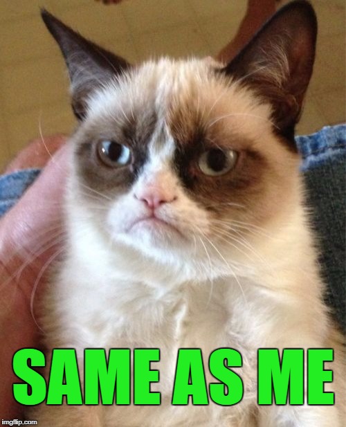 Grumpy Cat Meme | SAME AS ME | image tagged in memes,grumpy cat | made w/ Imgflip meme maker