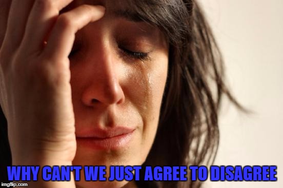 First World Problems | WHY CAN'T WE JUST AGREE TO DISAGREE | image tagged in memes,first world problems | made w/ Imgflip meme maker