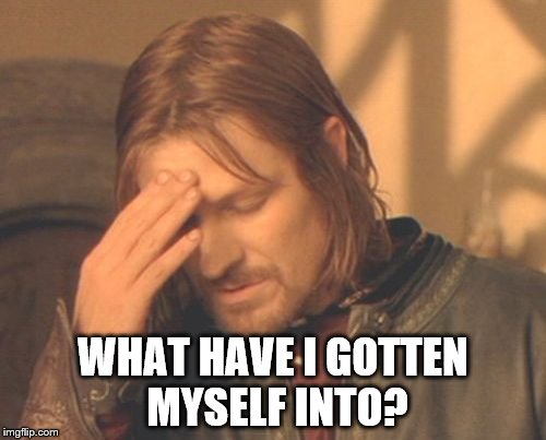 Frustrated Boromir | WHAT HAVE I GOTTEN MYSELF INTO? | image tagged in memes,frustrated boromir | made w/ Imgflip meme maker