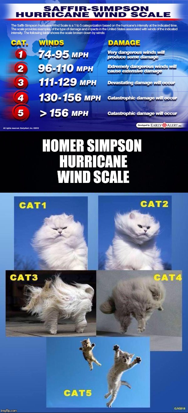 There's two different Simpson Hurricane Wind Scales, know the difference. | HOMER SIMPSON HURRICANE WIND SCALE | image tagged in saffir-simpson,homer simpson,hurricane,wind,scales | made w/ Imgflip meme maker