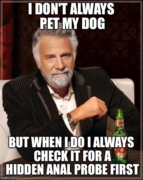 Dogs | I DON'T ALWAYS PET MY DOG BUT WHEN I DO I ALWAYS CHECK IT FOR A HIDDEN ANAL PROBE FIRST | image tagged in memes,the most interesting man in the world,dog,anal probes | made w/ Imgflip meme maker