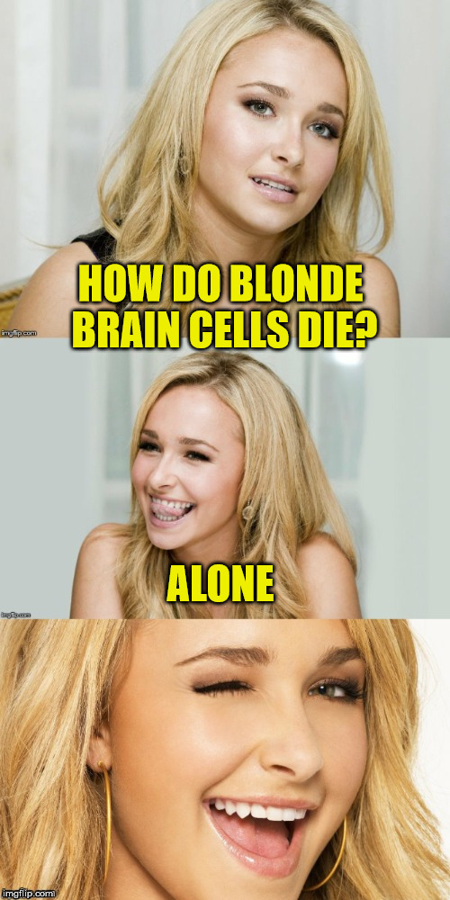 Blonde brain cells | HOW DO BLONDE BRAIN CELLS DIE? ALONE | image tagged in bad pun hayden panettiere,memes,blonde,brain cells,alone,forever alone | made w/ Imgflip meme maker