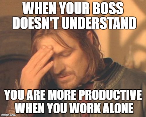 Sort of like Thorogood | WHEN YOUR BOSS DOESN'T UNDERSTAND; YOU ARE MORE PRODUCTIVE WHEN YOU WORK ALONE | image tagged in memes,frustrated boromir | made w/ Imgflip meme maker