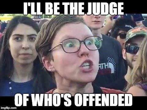 Angry sjw | I'LL BE THE JUDGE; OF WHO'S OFFENDED | image tagged in angry sjw | made w/ Imgflip meme maker
