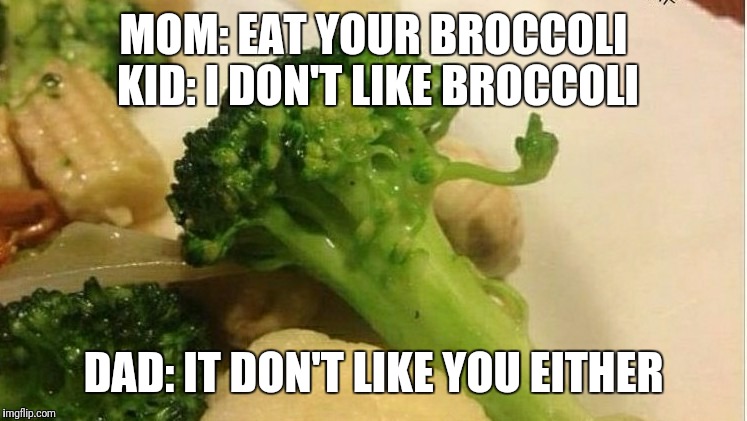 Kid: Hard Eye Roll | MOM: EAT YOUR BROCCOLI KID: I DON'T LIKE BROCCOLI; DAD: IT DON'T LIKE YOU EITHER | image tagged in memes,dad joke dog,broccoli | made w/ Imgflip meme maker