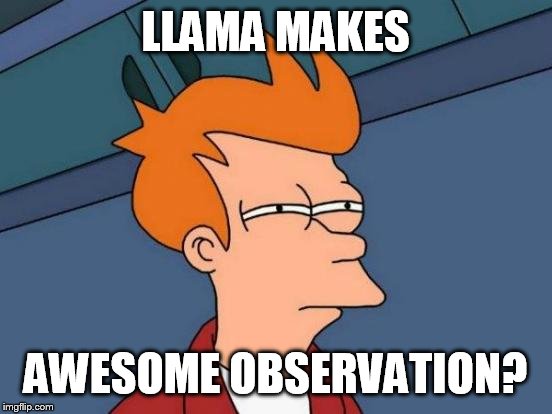 Futurama Fry Meme | LLAMA MAKES AWESOME OBSERVATION? | image tagged in memes,futurama fry | made w/ Imgflip meme maker