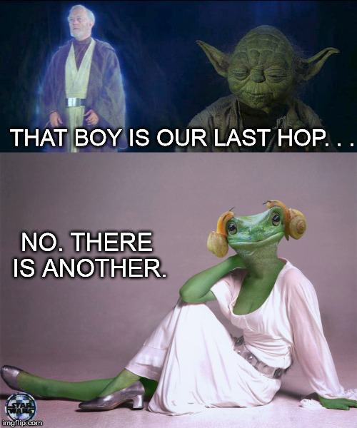 THAT BOY IS OUR LAST HOP. . . NO. THERE IS ANOTHER. | made w/ Imgflip meme maker