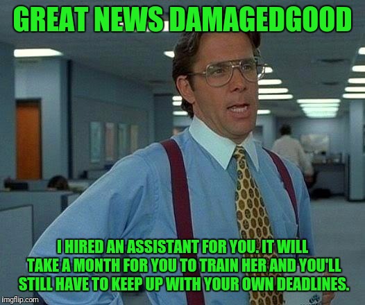 That Would Be Great Meme | GREAT NEWS DAMAGEDGOOD I HIRED AN ASSISTANT FOR YOU. IT WILL TAKE A MONTH FOR YOU TO TRAIN HER AND YOU'LL STILL HAVE TO KEEP UP WITH YOUR OW | image tagged in memes,that would be great | made w/ Imgflip meme maker