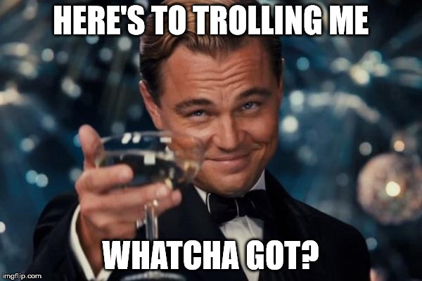 HERE'S TO TROLLING ME WHATCHA GOT? | image tagged in memes,leonardo dicaprio cheers | made w/ Imgflip meme maker