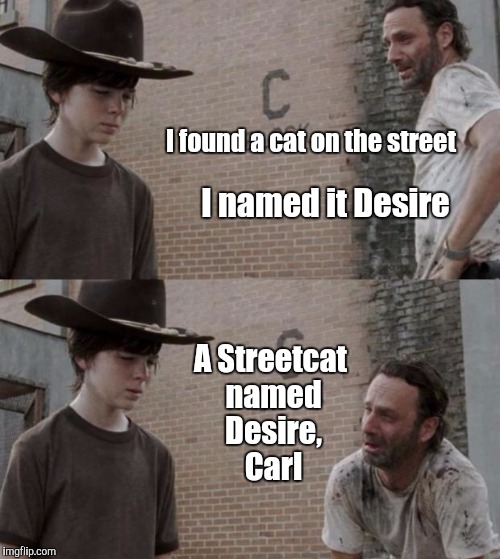 Stella! | I found a cat on the street; I named it Desire; A Streetcat named Desire, Carl | image tagged in memes,rick and carl,streetcar,desire,a streetcar named desire,pun | made w/ Imgflip meme maker