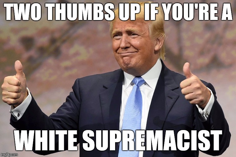 Trump Klan | TWO THUMBS UP IF YOU'RE A; WHITE SUPREMACIST | image tagged in donald trump,white supremacists,kkk,racist,nazi | made w/ Imgflip meme maker