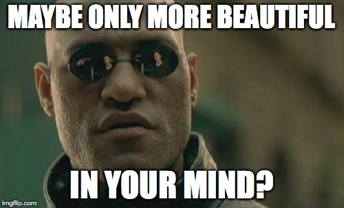 Matrix Morpheus Meme | MAYBE ONLY MORE BEAUTIFUL IN YOUR MIND? | image tagged in memes,matrix morpheus | made w/ Imgflip meme maker