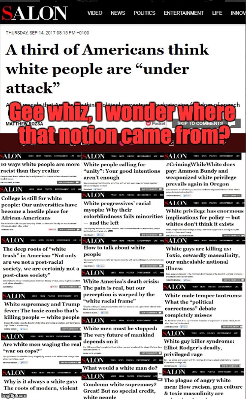 Salon Wonders Why White People Think They Are Under Attack | Gee whiz, I wonder where that notion came from? | image tagged in racism,white privilege,white supremacy,racist | made w/ Imgflip meme maker