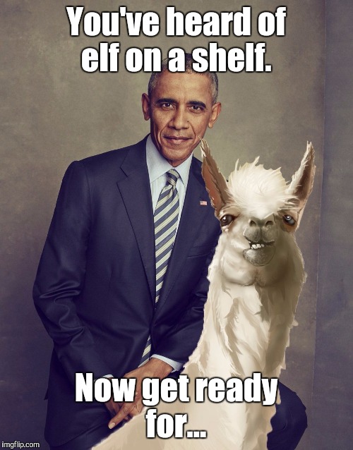 Looks like Michelle got a new hair cut.  | You've heard of elf on a shelf. Now get ready for... | image tagged in funny,elf on a shelf,obama,llama | made w/ Imgflip meme maker