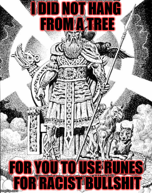 Odin | I DID NOT HANG FROM A TREE; FOR YOU TO USE RUNES FOR RACIST BULLSHIT | image tagged in odin | made w/ Imgflip meme maker