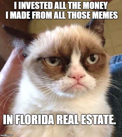 Grumpy Cat Reverse | I INVESTED ALL THE MONEY I MADE FROM ALL THOSE MEMES; IN FLORIDA REAL ESTATE. | image tagged in memes,grumpy cat reverse,grumpy cat | made w/ Imgflip meme maker