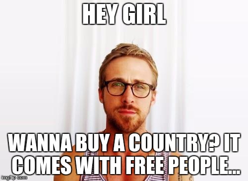 Ryan Gosling Hey Girl | HEY GIRL; WANNA BUY A COUNTRY? IT COMES WITH FREE PEOPLE... | image tagged in ryan gosling hey girl | made w/ Imgflip meme maker