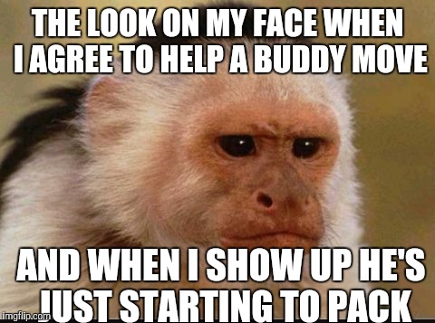 The Moving Day Murders | THE LOOK ON MY FACE WHEN I AGREE TO HELP A BUDDY MOVE; AND WHEN I SHOW UP HE'S JUST STARTING TO PACK | image tagged in monkey,funny memes | made w/ Imgflip meme maker