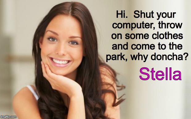 Stella!!! | Hi.  Shut your computer, throw on some clothes and come to the park, why doncha? Stella | image tagged in memes,go outside,exercise,stella | made w/ Imgflip meme maker
