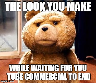 TED | THE LOOK YOU MAKE; WHILE WAITING FOR YOU TUBE COMMERCIAL TO END | image tagged in memes,ted | made w/ Imgflip meme maker