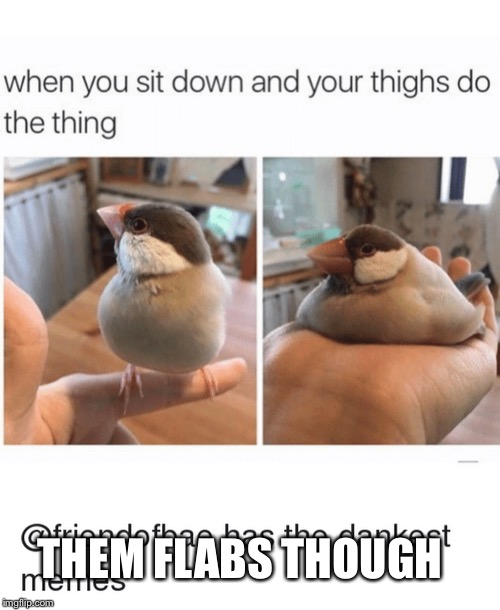 When you sit down and the thigh thing happens... | THEM FLABS THOUGH | image tagged in bird,birds,thighs,sit down,fat,memes | made w/ Imgflip meme maker