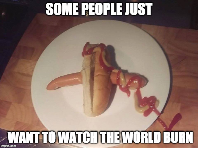 I hate you. | SOME PEOPLE JUST; WANT TO WATCH THE WORLD BURN | image tagged in did i do good,watch the world burn,iwanttobebacon,i hate you,hot dog | made w/ Imgflip meme maker