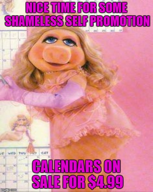 NICE TIME FOR SOME SHAMELESS SELF PROMOTION CALENDARS ON SALE FOR $4.99 | made w/ Imgflip meme maker