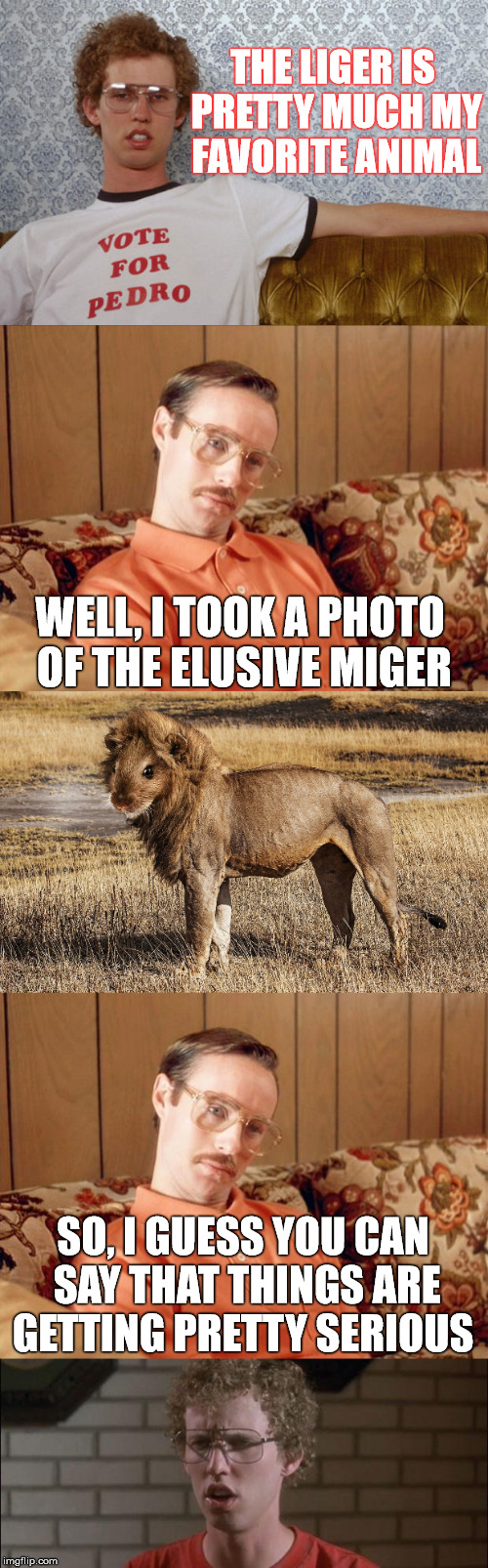 Vote for Miger  | THE LIGER IS PRETTY MUCH MY FAVORITE ANIMAL; WELL, I TOOK A PHOTO OF THE ELUSIVE MIGER; SO, I GUESS YOU CAN SAY THAT THINGS ARE GETTING PRETTY SERIOUS | image tagged in napolean dynamite,so i guess you can say things are getting pretty serious,liger,miger,meme | made w/ Imgflip meme maker
