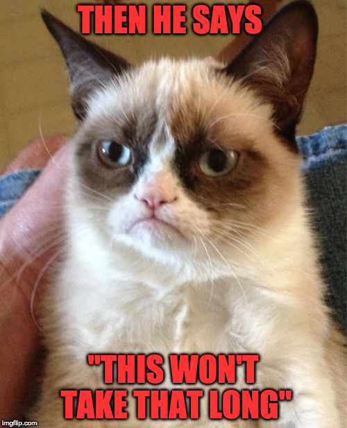 Grumpy Cat Meme | THEN HE SAYS "THIS WON'T TAKE THAT LONG" | image tagged in memes,grumpy cat | made w/ Imgflip meme maker