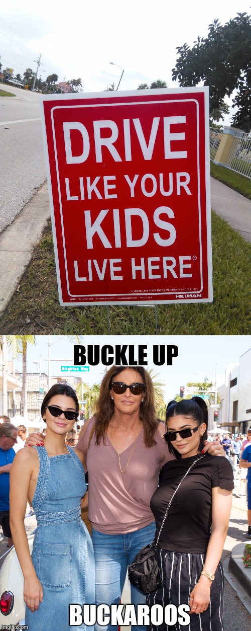 BUCKLE UP; BUCKAROOS | image tagged in memes | made w/ Imgflip meme maker