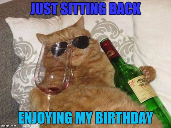 Funny Cat Birthday | JUST SITTING BACK; ENJOYING MY BIRTHDAY | image tagged in funny cat birthday,robromans birthday,birthday | made w/ Imgflip meme maker