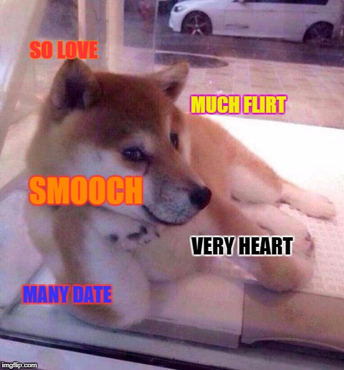 Flirting Doge | SO LOVE; MUCH FLIRT; SMOOCH; VERY HEART; MANY DATE | image tagged in flirting doge | made w/ Imgflip meme maker