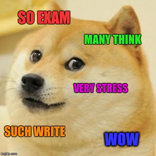 Doge Meme | SO EXAM; MANY THINK; VERY STRESS; SUCH WRITE; WOW | image tagged in memes,doge | made w/ Imgflip meme maker