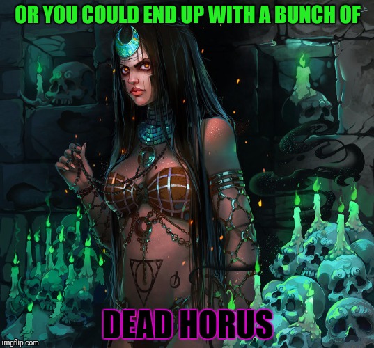 OR YOU COULD END UP WITH A BUNCH OF DEAD HORUS | made w/ Imgflip meme maker