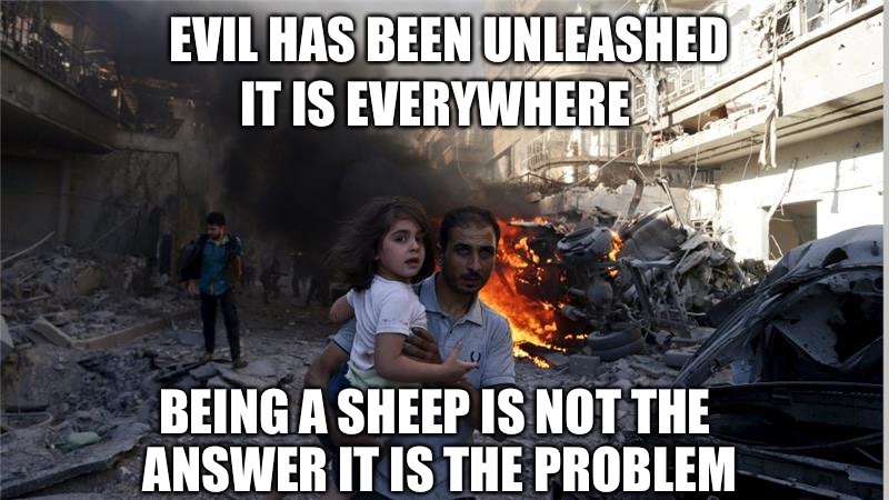 Aleppo | IT IS EVERYWHERE; EVIL HAS BEEN UNLEASHED; BEING A SHEEP IS NOT THE ANSWER IT IS THE PROBLEM | image tagged in aleppo | made w/ Imgflip meme maker