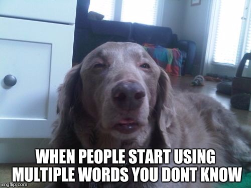 High Dog Meme | WHEN PEOPLE START USING MULTIPLE WORDS YOU DONT KNOW | image tagged in memes,high dog | made w/ Imgflip meme maker