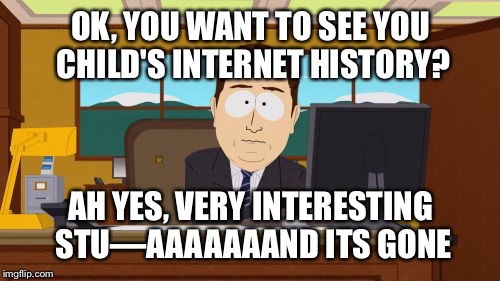 OK, YOU WANT TO SEE YOU CHILD'S INTERNET HISTORY? AH YES, VERY INTERESTING STU—AAAAAAAND ITS GONE | image tagged in memes,aaaaand its gone | made w/ Imgflip meme maker