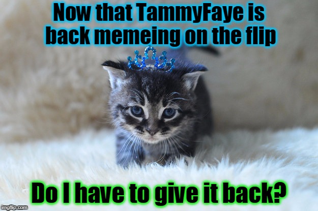 for I gladly would | Now that TammyFaye is back memeing on the flip; Do I have to give it back? | image tagged in memes,tammyfaye,memeing,kitten,queen,imgflip users | made w/ Imgflip meme maker