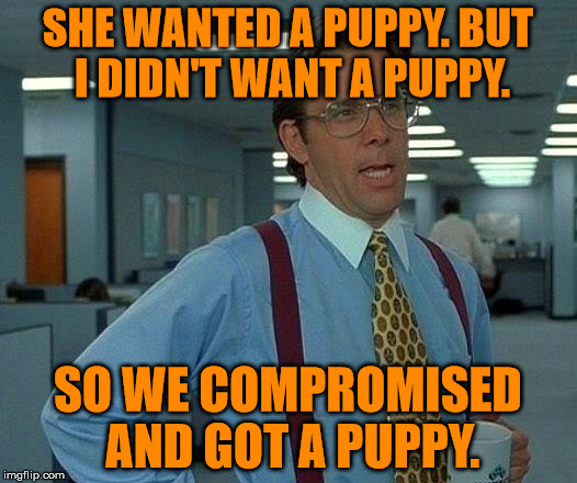 Sometimes you just gotta compromise | SHE WANTED A PUPPY. BUT I DIDN'T WANT A PUPPY. SO WE COMPROMISED AND GOT A PUPPY. | image tagged in memes,that would be great,compromise,puppy,he,she | made w/ Imgflip meme maker