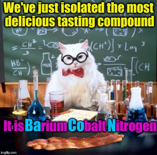 Tasty Chemistry!!!  ✌✌✌ | We've just isolated the most delicious tasting compound; Ba; Co; N; It is Barium Cobalt Nitrogen | image tagged in memes,chemistry cat,funny,bacon,food,delicious | made w/ Imgflip meme maker