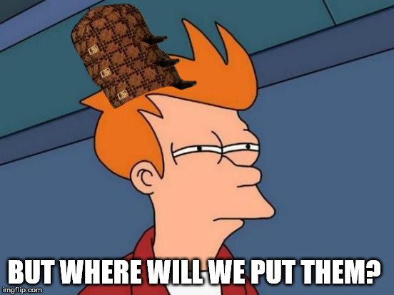 BUT WHERE WILL WE PUT THEM? | image tagged in memes,futurama fry,scumbag | made w/ Imgflip meme maker